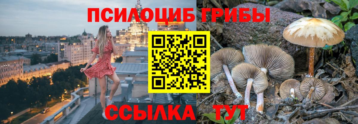 Галлюциногенные грибы Cubensis Кохма